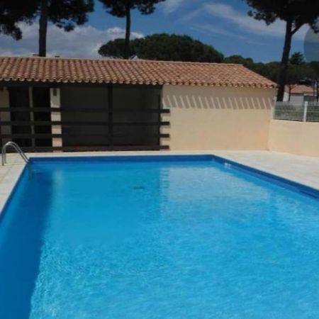 Apt T2/4 Pers/ Rez De Jardin\Pinede\Piscine Agde Zewnętrze zdjęcie